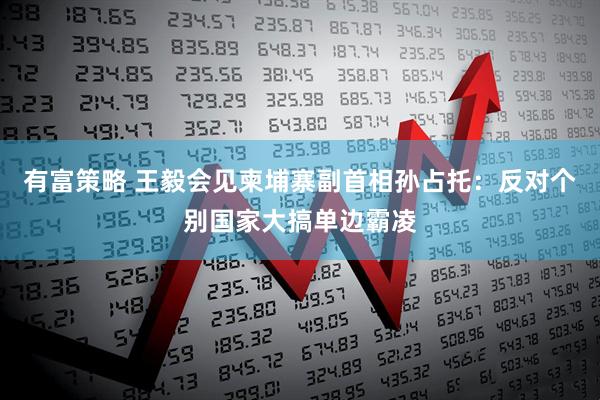 有富策略 王毅会见柬埔寨副首相孙占托：反对个别国家大搞单边霸凌