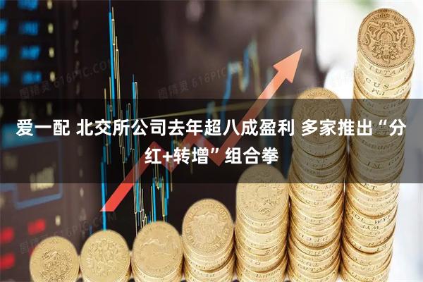 爱一配 北交所公司去年超八成盈利 多家推出“分红+转增”组合拳