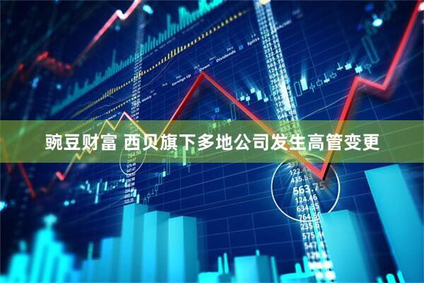 豌豆财富 西贝旗下多地公司发生高管变更